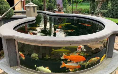 Mẫu Tròn Uốn Cong